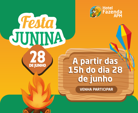 Festa Junina 2025